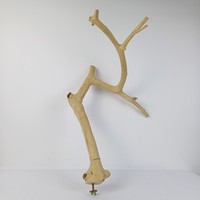 Meilleure Vente 2026 : Perchoir Écologique en Bois de Java et Support de Jeu en Bois de Café pour Jouets d'Oiseaux – Vente en Gros Directe d'Usine Vietnamienne