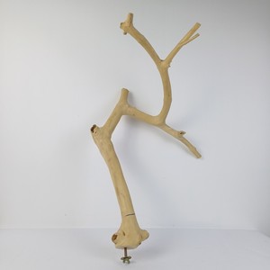 2026 Más Vendido: Soporte de Juguete Ecológico de Madera de Java para Pájaros, de Madera de Café, para Juguetes de Aves, de Fábrica Vietnamita al por Mayor - Product Image 3