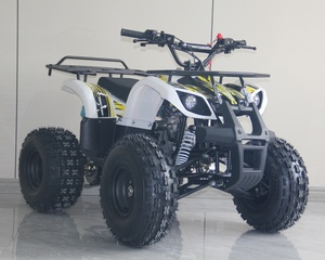 <span class=keywords><strong>Quad</strong></span> électrique tout-terrain 125cc en gros, ATV sportif d'usine avec certification CE, nouveau design, fournisseur de quads 125cc pour enfants et jeunes - Product Image 2