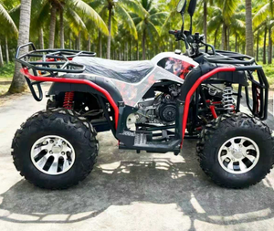 ATV 4x4 à transmission automatique LNA 200cc, haute capacité de transport - Product Image 2