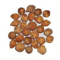 Cocos pequeños pulidos (Laghu Shriphal) - 11 piezas para la Pooja de Mahalaxmi en Navidad, templo, Havan