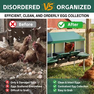 Nido per Galline in Metallo Resistente con Vassoio Rimovibile a 4 Fori e 4 Gambe per la Deposizione delle Uova - Product Image 6