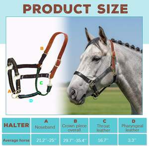 Équipement de collection de qualité supérieure : Licol portable perlé pour chevaux, direct usine - Product Image 2