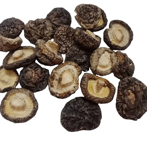 HIGH QUALITY Bulk Dried Shiitake Mushroom Vietnam Origin No Additives 2 Year Shelf Life Optimized Loading 40ft Container - Product Image 1