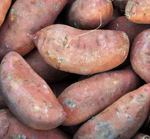 Vente en gros de patates douces fraîches de haute qualité, prix d'usine - Exportation mondiale de patates douces - Product Image 1