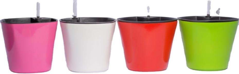 ช็อกโกแลต