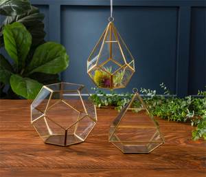 Terrario Moderno de Vidrio Colgante para Suculentas, Diseño Geométrico Cromado, Decoración de Escritorio - Product Image 5