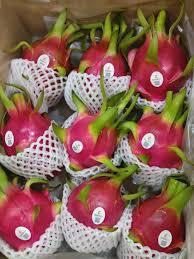 Fruta del Dragón Roja Congelada IQF al por Mayor de Vietnam |    Exportador de Pitaya Congelada a Granel - Product Image 3