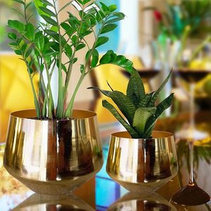 Maceta Moderna de Lujo en Metal Dorado Cromado para Plantas Verdes de Interior - Product Image 3