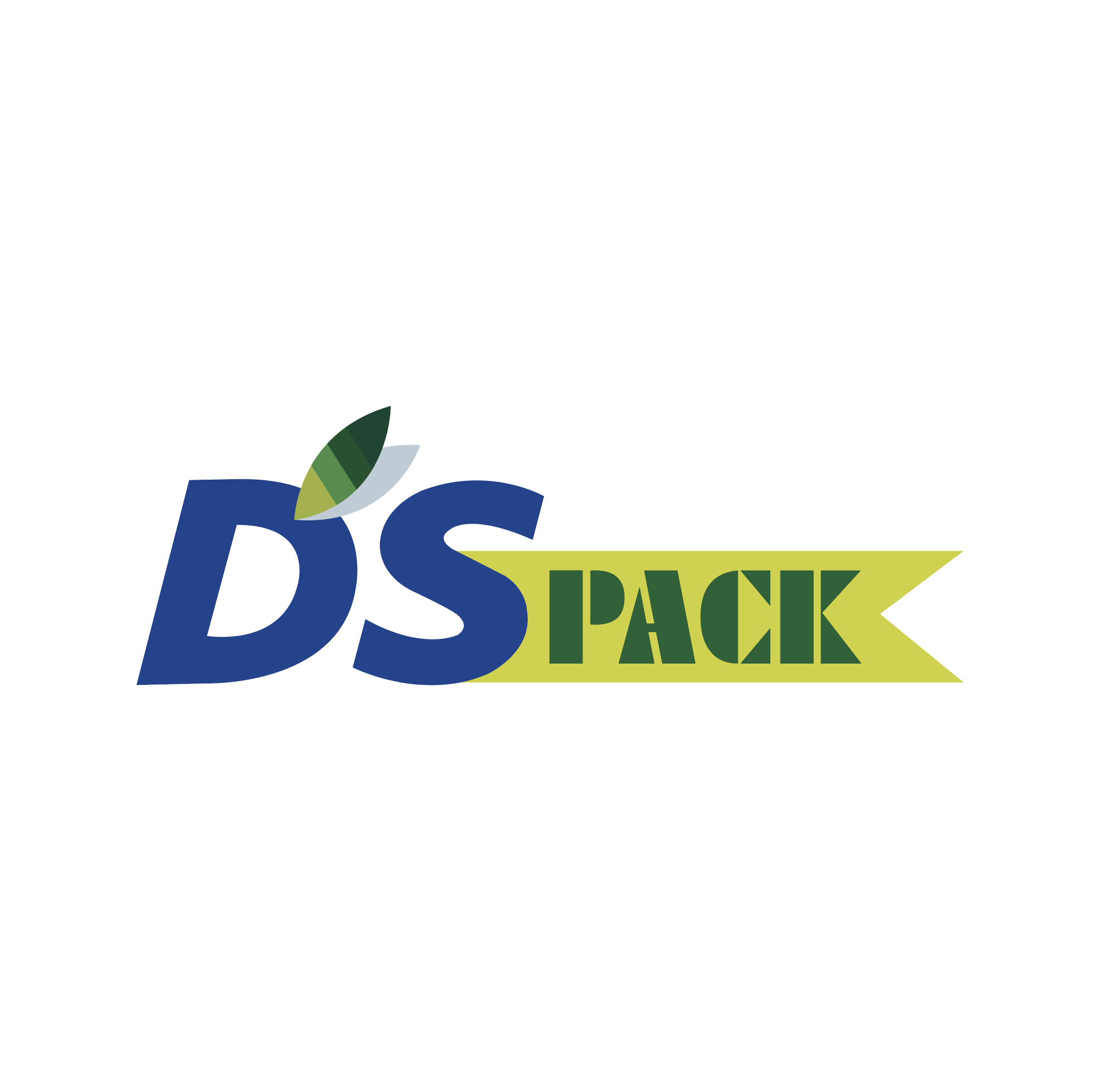 DSPACK CO.,LTD logo