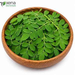 Fournisseur en gros de feuilles de Moringa Oleifera, matière première botanique naturelle pour produits à base de plantes, vente en gros - Product Image 2