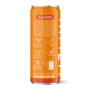 Peach Apricot Kombucha Probiotic Fermented Tea <b>Beverage</b> Ready to Drink Custom OEM Wholesale Supplier - Product Image 3