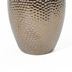 Vase à fleurs décoratif moderne en fer, design côtier, écologique, pour table, usage résidentiel et commercial, vente en gros - Product Image 6
