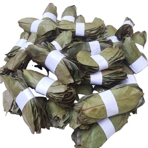 Feuilles de corossol séchées au soleil de qualité supérieure, origine Vietnam, sélection botanique naturelle, soigneusement sélectionnées, propres, aromatiques, produit d'exportation - Product Image 3