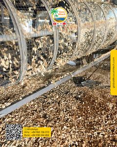 COCO HITECH Virutas de Coco Orgánicas de Alta Calidad - Biodegradables y Ecológicas para Plantación, Horticultura e Hidroponía - Product Image 4