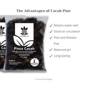 Chips de Corteza de Pino Esterilizados de Alta Calidad 1L |   Sustrato Orgánico para Orquídeas, Monstera y Aglaonema - Uso en Interiores y Exteriores, Hogar y Jardín - Product Image 4