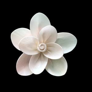 Flores de Plumeria Naturales en Madera Sola de 8-8.5 CM, Varilla de Fibra Vegetal de Sesbania, Aromaterapia Hecha a Mano - Product Image 3