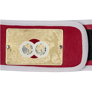 Custom Championship Belt Red Strap Gold Globe Design Premium Quality Wrestling Belt with Global Icons for Fans and Collectors - Product Image 6