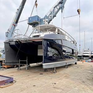 Catamarán Deportivo de Aluminio Soldado de Lujo Personalizado UBI 1012 de 10 m con Motor Fuera de Borda de 350 HP para Crucero, Transporte, Paseo por el Río y Ocio - Product Image 1