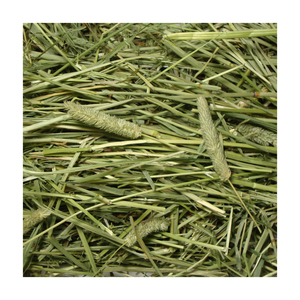 Foin de timothée en gros, stock en vrac, prix réduit, livraison rapide, fournisseur exportateur - Product Image 6