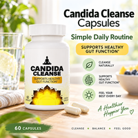 Capsules à base de plantes Candida Cleanse pour l'équilibre digestif quotidien et le bien-être intestinal, 60 capsules, OEM ODM Marque privée