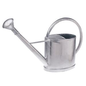 Arrosoir en acier galvanisé avec long bec et pommeau de douche amovible pour plantes de jardin intérieures et extérieures, fournitures de jardin - Product Image 1