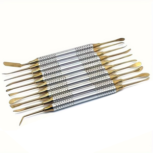 Kit de Luxation Dentaire 10 Pièces le Plus Vendu pour Étudiants – Instruments Chirurgicaux Manuels en Acier Inoxydable pour Procédures d'Implantation – Ergonomique - Product Image 1