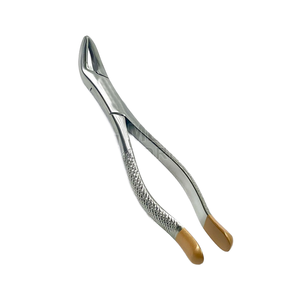 Premium Quality Stainless Steel <b>Dental</b> Extracting Forceps <b>Dental</b> Instruments Top Price <b>Dental</b> Extracting Forceps - Product Image 1