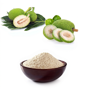 Farine de fruit du pain 100 % pure et naturelle de qualité supérieure par Viet Delta, durée de conservation de 24 mois, pour la pâtisserie sans gluten et la préparation d'aliments sains - Product Image 5