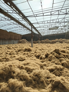Fibra de Coco Dorada de Primera Calidad, 100 kg, 3% de Impurezas, Humedad 22-26%, Material para Relleno de Colchones - Product Image 2