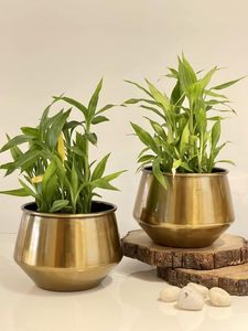 Maceta Metálica con Soporte para Plantas, para Decoración de Interiores y Exteriores, Sala de Estar y Balcón - Product Image 6