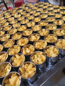 Pineapple en Rodajas Enlatadas SWEET QUEEN - Ingredientes de Confitería Premium, Fruta Enlatada al por Mayor - Product Image 4