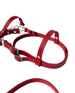 Premium Leather Horse Bridle Adjustable Headstall Durable <b>Equestrian</b> Riding Gear Soft Padded Comfort Training Tack for Horses - Product Image 3