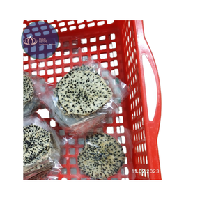BEST-SELLER : Fruits du dragon séchés durables et sains, riches en antioxydants, respectueux de l'environnement – Approvisionnement en Pitaya - Product Image 1