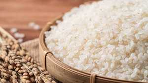 ข้าวญี่ปุ่นคุณภาพสูง ข้าวขาวธรรมชาติ ข้าวเมล็ดสั้นพรีเมียม ดีต่อสุขภาพ ปลอดจีเอ็มโอ บรรจุภัณฑ์แบบขายส่ง ราคาถูก - Product Image 3