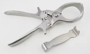 Pince de Castration Sans Sang Réutilisable de Qualité Supérieure en Acier Inoxydable 304 pour Moutons – Usage Vétérinaire - Product Image 2
