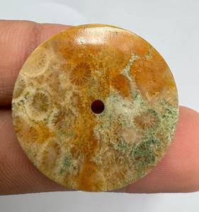 Esfera de Reloj de Coral Natural de 28 mm, Pulida por un Lado, Redonda, Dorada, de 0.80 mm de Grosor, Modelo ETH-10150 de a K Gems, para Fabricación de Relojes - Product Image 5