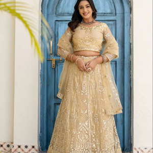 Ramdev Trading Broderie complexe Couleurs riches Artisanat intemporel Matière filet papillon Recyclé Mariage traditionnel pour femmes - Product Image 1