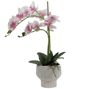 Fiori Decorativi di Orchidea Phalaenopsis per Interni di Ville e Appartamenti - Product Image 3