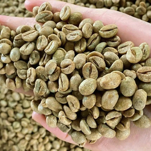 Vietnam Premium Specialty Arabica Green Coffee <b>Beans</b> Size 16 ISO 22000 Certified Grade G1/G2 High Quality Wholesale Export - Product Image 1