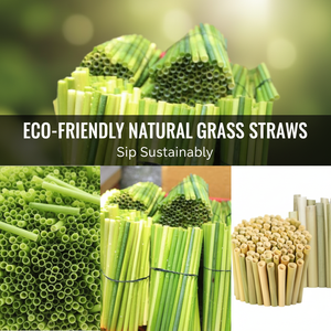 Pajitas de Beber de Espadaña Naturales Ecológicas Sin Empaque, Biodegradables, Compostables, Desechables para Fiestas, 200 mm, para Venta al por Mayor - Product Image 3