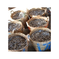 Anchoas Secas de Alta Calidad, Snack Marino Salado para Cubrir con Picantes Aderezos y Fuente Rica en Calcio, Mariscos de Primera Calidad