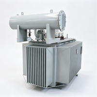 Transformateur redresseur de puissance triphasé ZSS11-1600kVA 10000/200V immergé dans l'huile, type 50/60Hz, haute stabilité, cuivre électrolytique