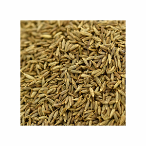 Graines de cumin de qualité supérieure fournies en vrac pour les acheteurs en gros avec un avantage de prix d'usine - Product Image 1