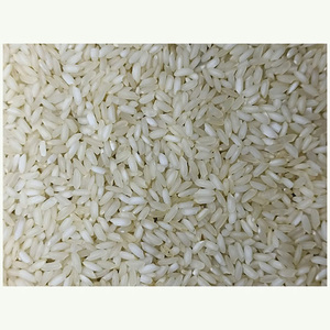 ข้าวบาสมาติกเกรดพรีเมี่ยมเมล็ดยาวพิเศษกลิ่นหอมเข้มข้นและคุณภาพการทำอาหารที่เหนือกว่า - Product Image 4