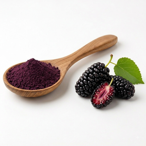 Poudre de mûre noire de haute qualité, poudre de fruits naturelle, fournisseur en gros, fabricant, exportateur, Inde - Product Image 1