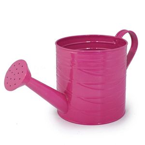 Regadera moderna de metal para jardín con acabado de recubrimiento en polvo para un uso duradero en exteriores e interiores. - Product Image 6