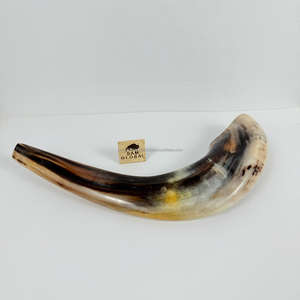 Shofar yemenita ecológico hecho a mano de color natural, cuerno natural que sopla Rosh Hashanah Kosher Ram, técnica pulida judía - Product Image 2