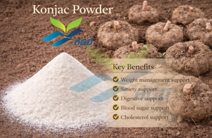 Poudre de Konjac naturel pur d'approvisionnement direct d'usine HGO (qualité alimentaire) spécification poudre de fibres alimentaires (poudre de fruits ou de légumes) - Product Image 5