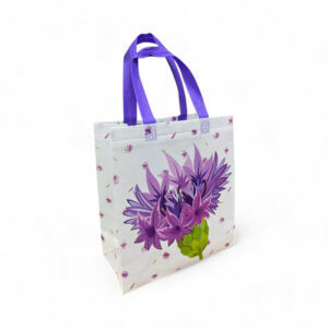 Reusable PP Non Woven <b>Bag</b> with Logo Printing Promotional Shopping Tote <b>Bag</b> transparent <b>bag</b> for Retail Packaging Vietnam - Product Image 3